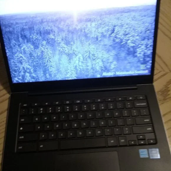 Samsung Chromebook LCD 14
